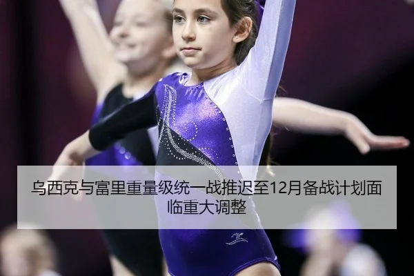 乌西克与富里重量级统一战推迟至12月备战计划面临重大调整